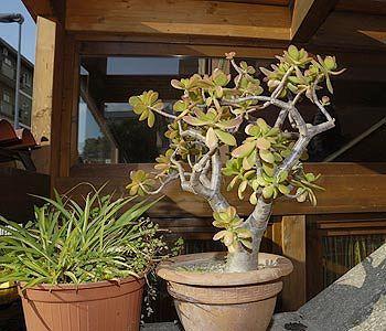 Hotell Il Castelletto Rom